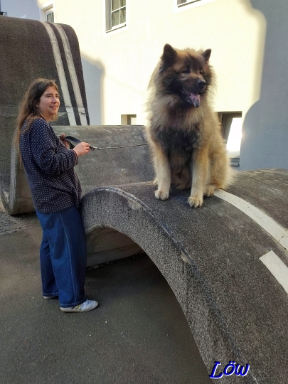 19.4.2025 - Dwix, der Klettermax